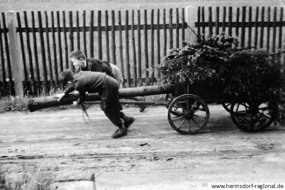 1957-58 Kindermaibaumsetzen auf dem Roten Strumpf